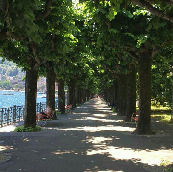 Meet your Posher, Nikita - Picture 2 of 3